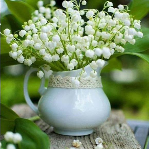 Meet your Posher, Rita - Picture 1 of 1